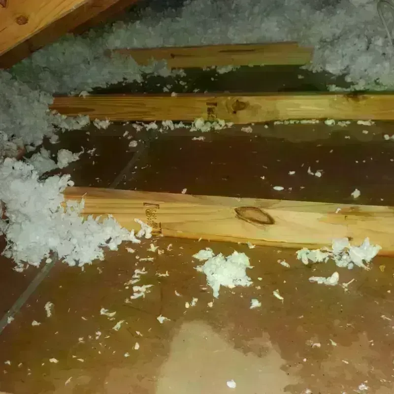 Attic Water Damage in Gladwin, MI