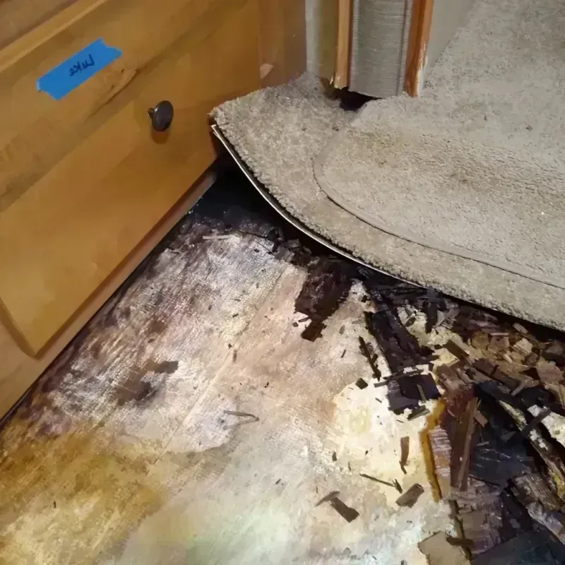 Wood Floor Water Damage in Gladwin, MI